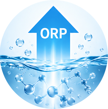 ≥ +300 mV ORP lift ≥ +300 mV ORP lift