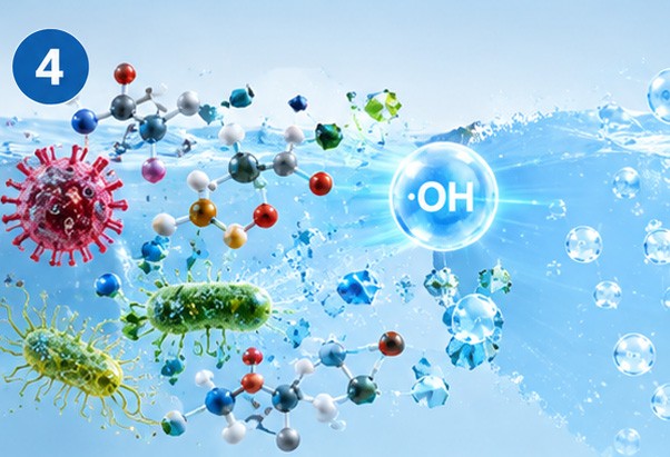 04 Degradation & Inactivation 04 Degradation & Inactivation