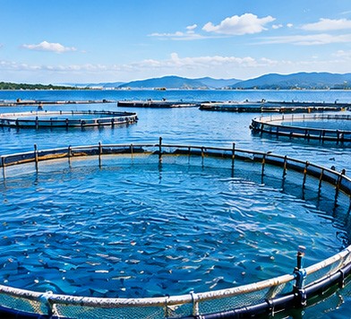 Swimming Pools & Aquaculture Swimming Pools & Aquaculture