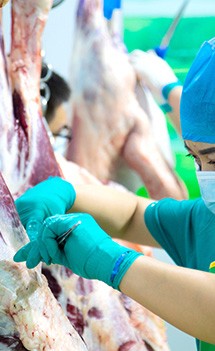Meat Hormones Meat Hormones