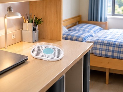 Dorm / Apartment Dorm / Apartment