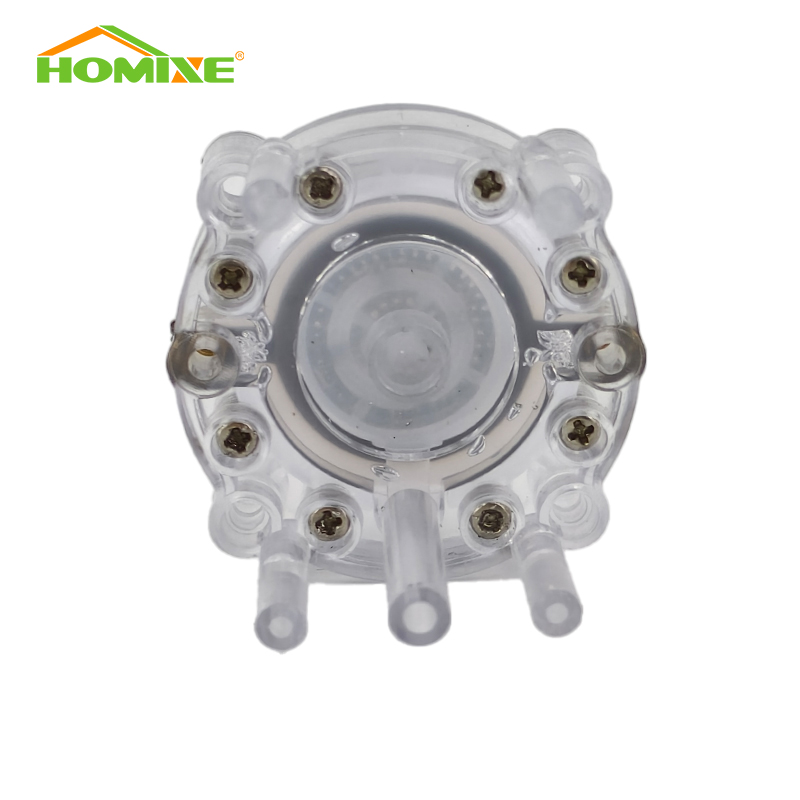 Hydrogen Water Electrolysis Cell For Hydrogen Water Bottle 2